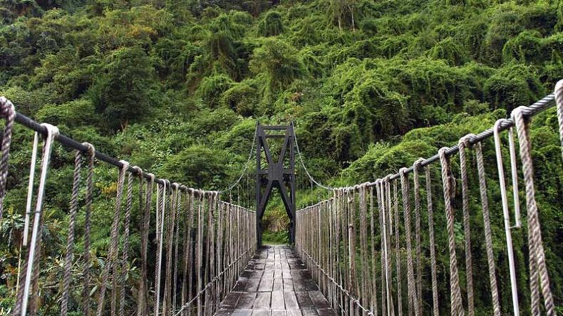 Best Treks From La Paz - Jungle El Choro Trek