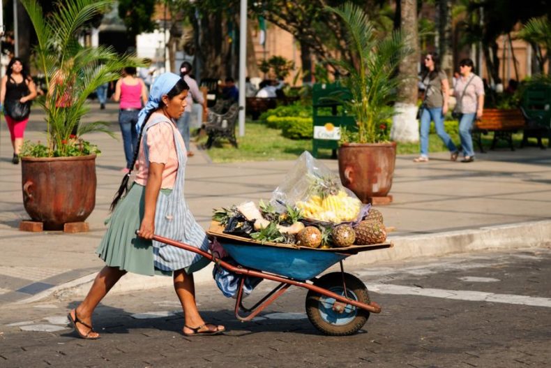 Fresh fruits Sucre - Raw foods Bolivia