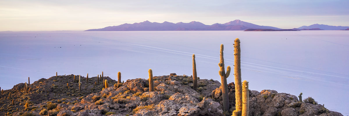 Uyuni Bolivia - Incahuasi Island