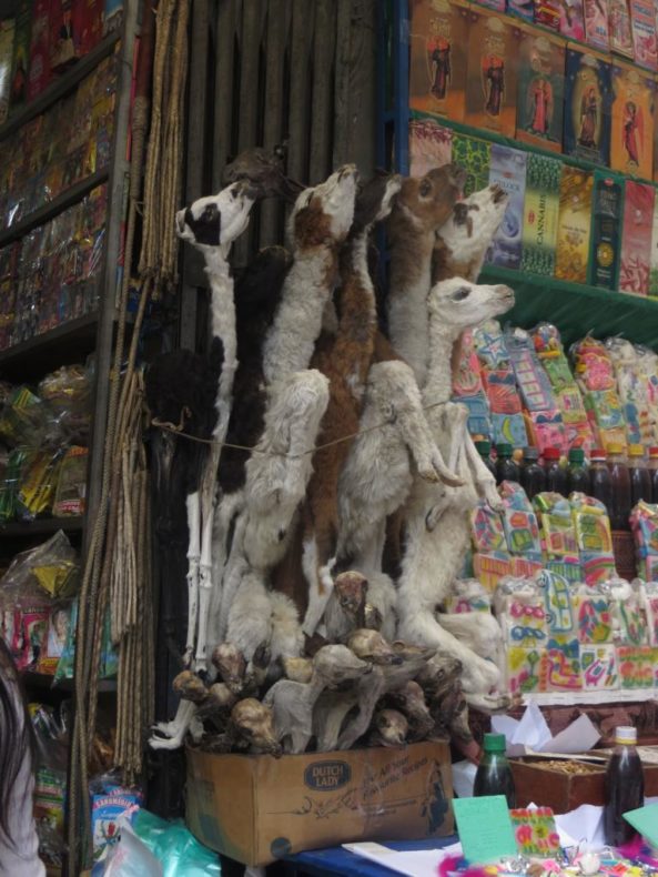 The La Paz Witches Market-Llama foetuses