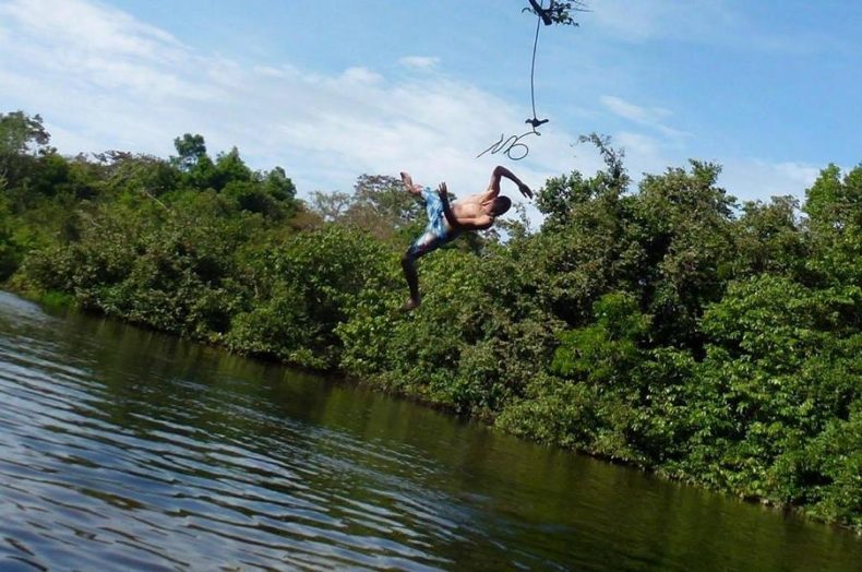 Rainforest Bolivia