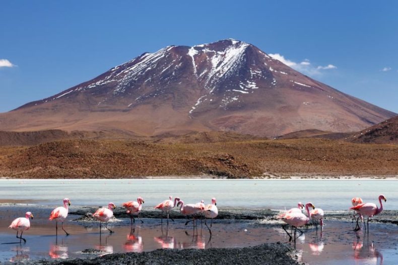 best places to visit in bolivia - La Laguna Colorada