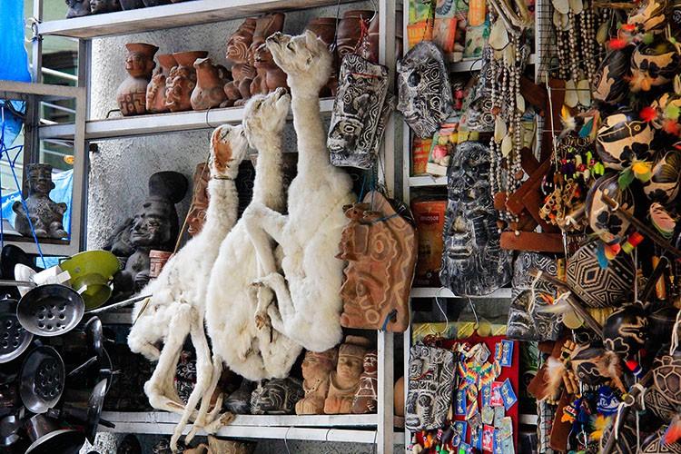 Mercado das Bruxas em La Paz 