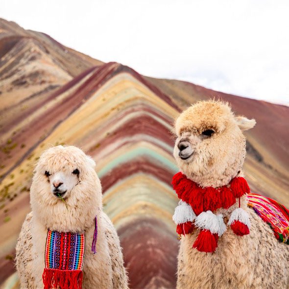 potosi bolivia mine tour