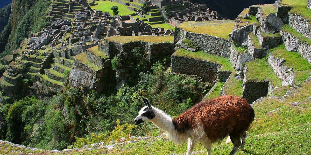 Machu Picchu Inca Jungle Trek