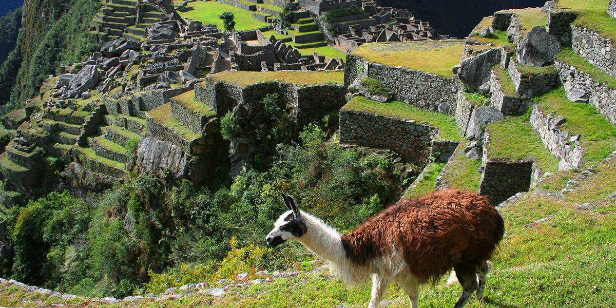 Inca Jungle Trek a Machu Picchu