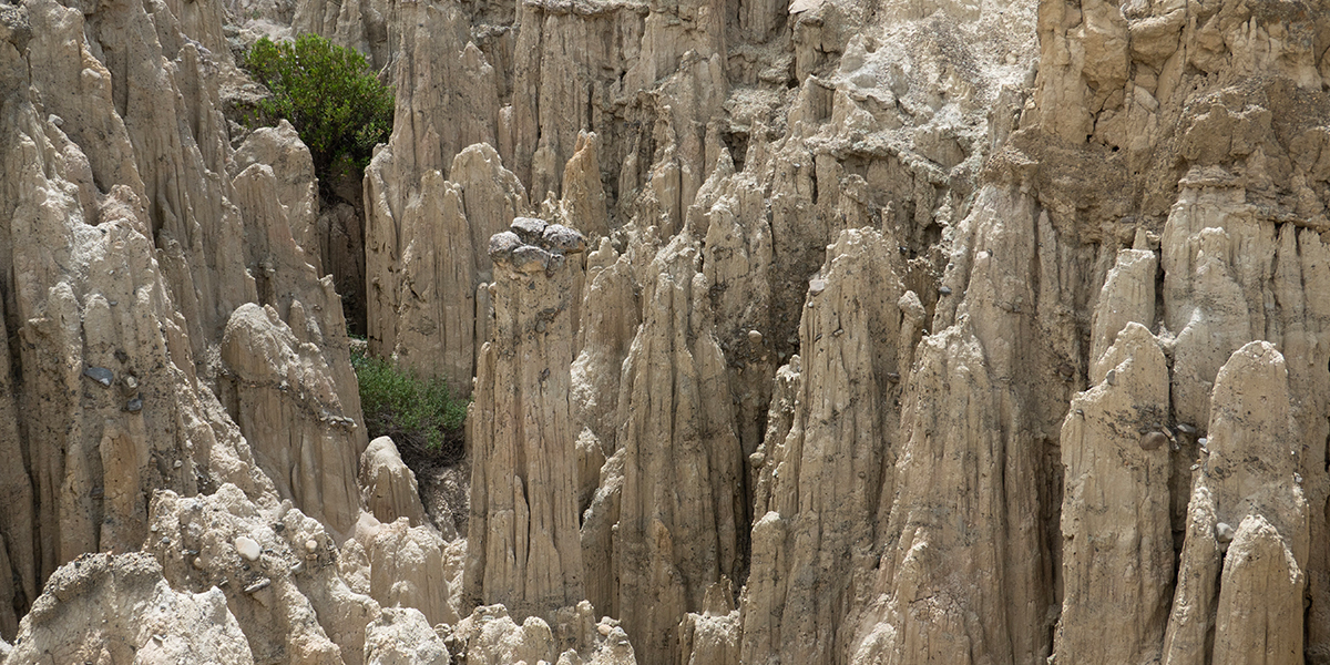 valley of the moon