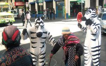 Bolivian Traffic Zebras La Paz - People dressed as zebras helping old women on the streets