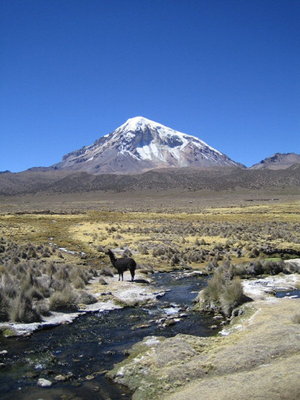 Sajama national park bolivia - Volcano