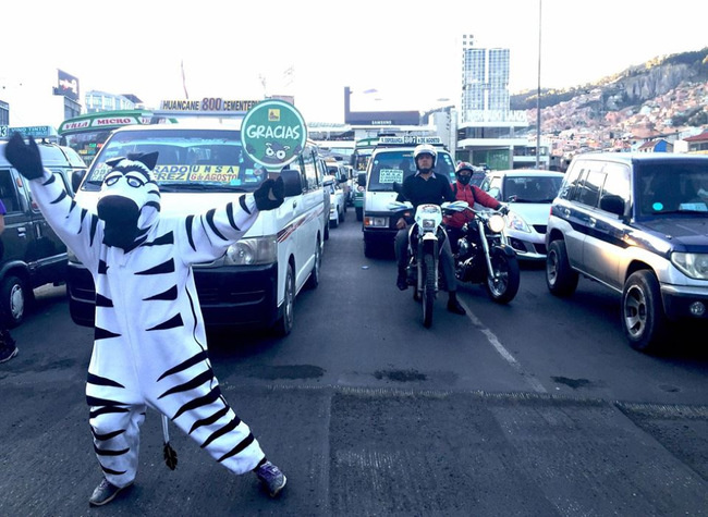 Bolivian Traffic Zebras La Paz - person dressed as zebra controlling the traffic on street