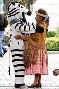 Bolivian Traffic Zebras La Paz - person dressed as zebra hugging woman