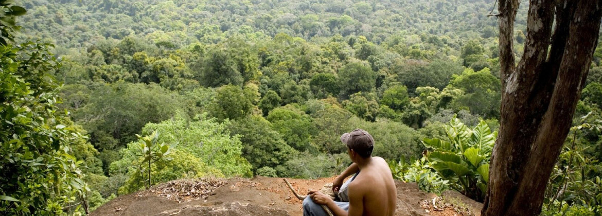 View of the Bolivian Amazon